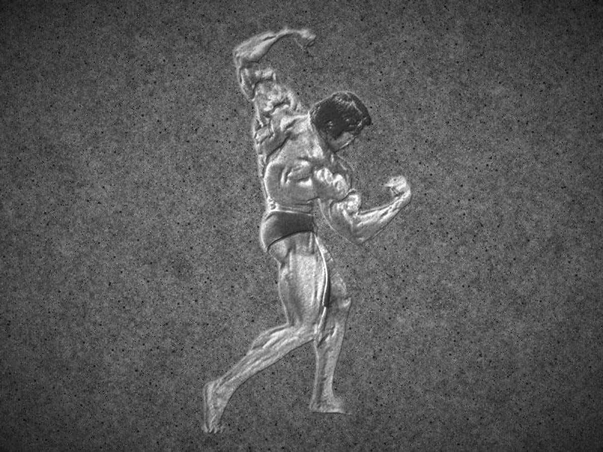 Bodybuilder in Pose, als Relief in Granit gemeißelt